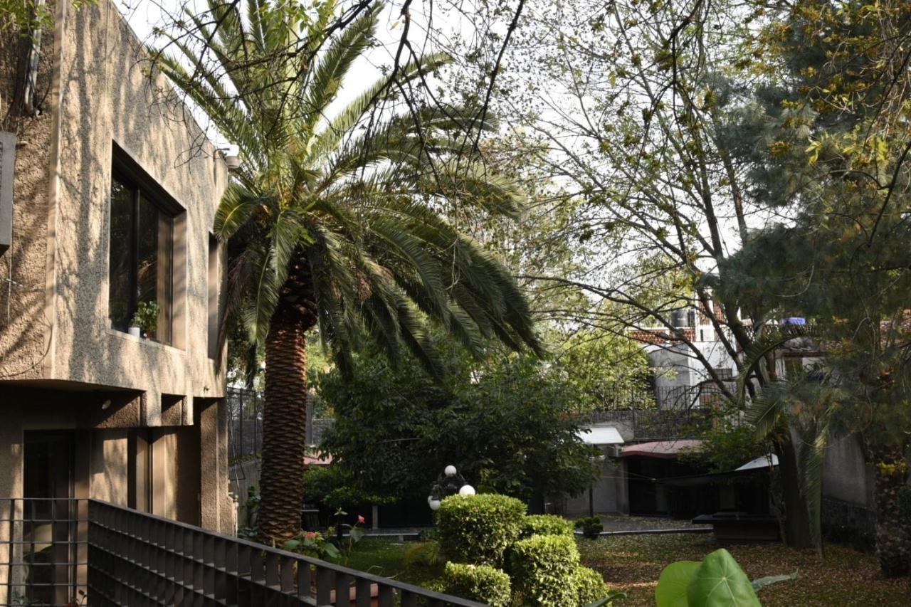 Casa Lulu Coyoacan Alvaro Obregon Exterior photo